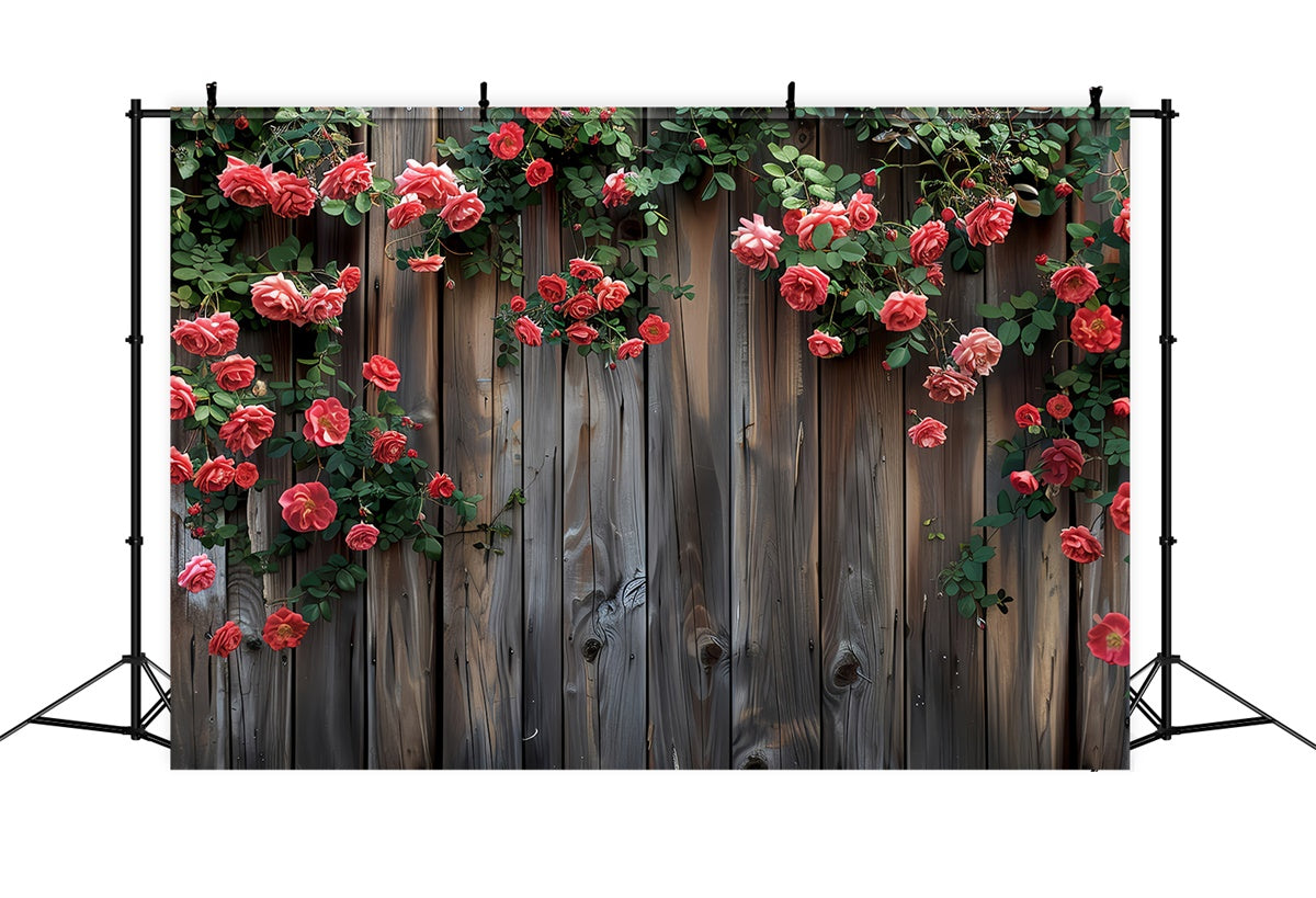 Fond Photo Fleur Roses Rouges Épanouies Clôture BRP2-93