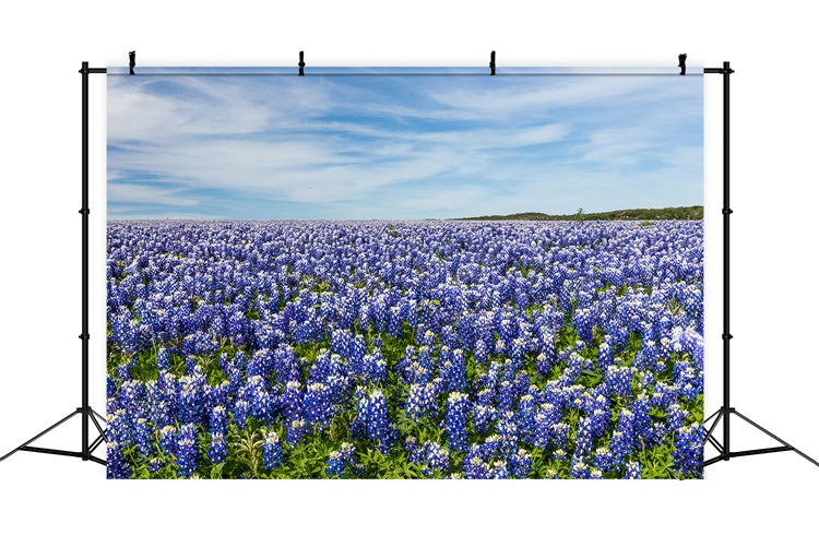 Fond Photo Floral Prairie de Fleurs Sauvages Ciel Bleu BRP2-94