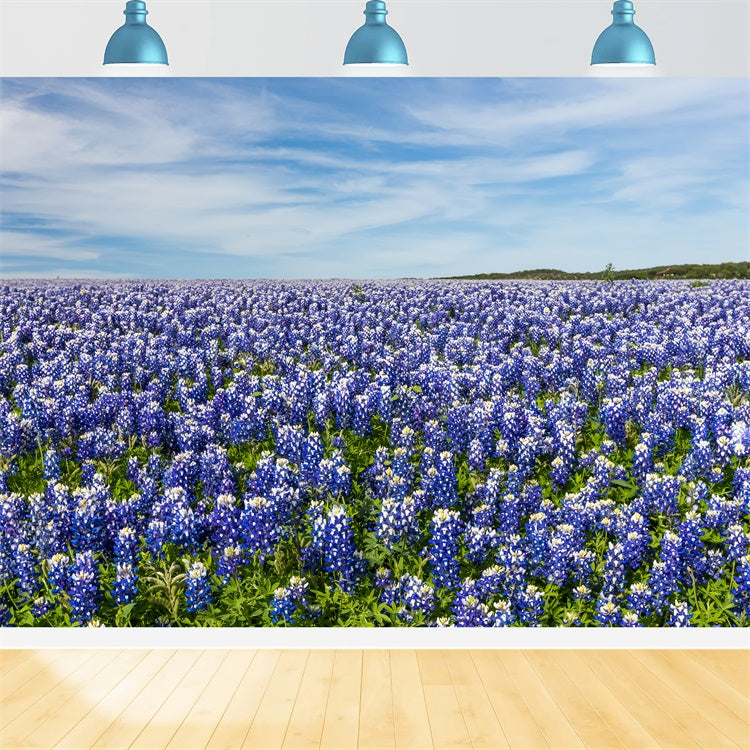 Fond Photo Floral Prairie de Fleurs Sauvages Ciel Bleu BRP2-94