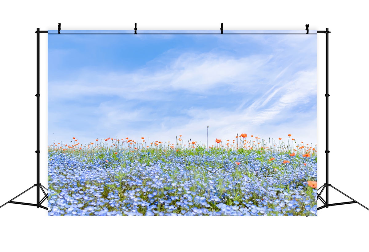 Fond Photo Floral Champ de Fleurs Sauvages Bleues Ciel BRP2-95