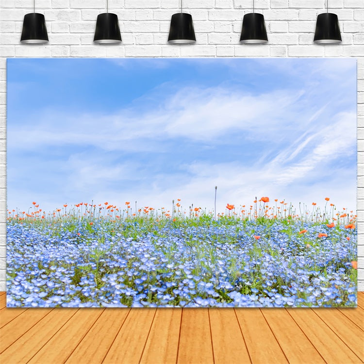 Fond Photo Floral Champ de Fleurs Sauvages Bleues Ciel BRP2-95