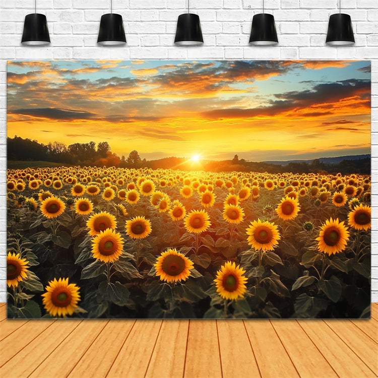 Toile de fond Photo Automne Ciel Feu Tournesols BRP57-172