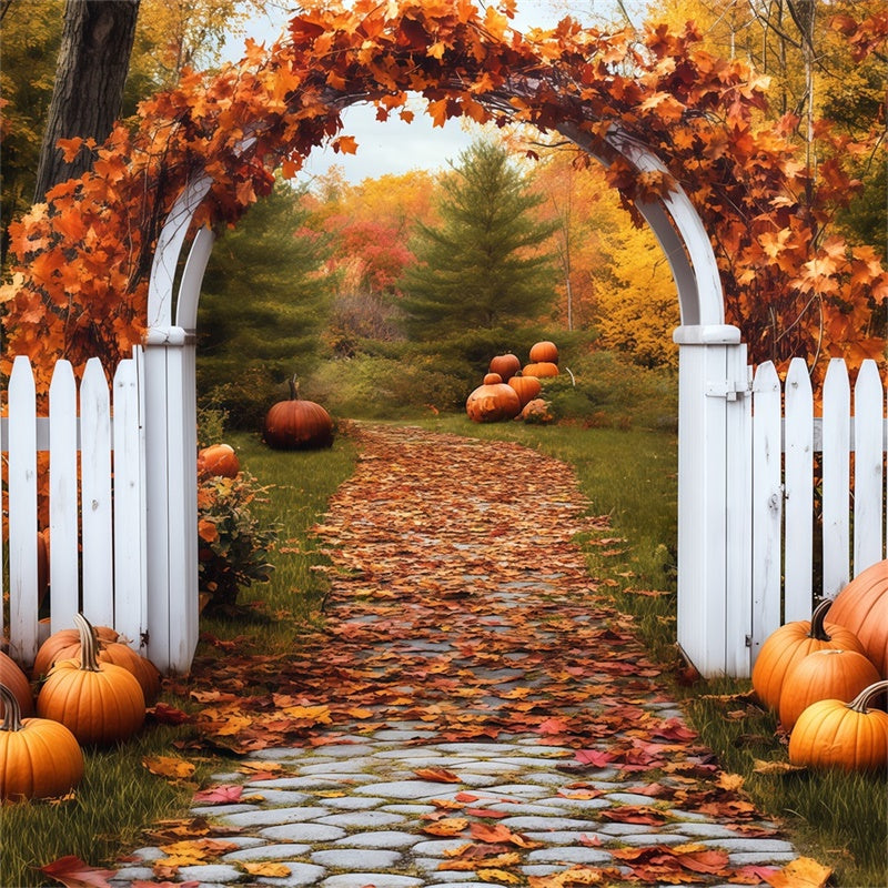 Toile de fond Déco Automne Arche Citrouille Sentier BRP57-202