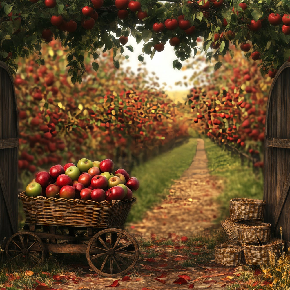 Toile de fond Photo Automne Verger Pommes Douillet BRP57-203
