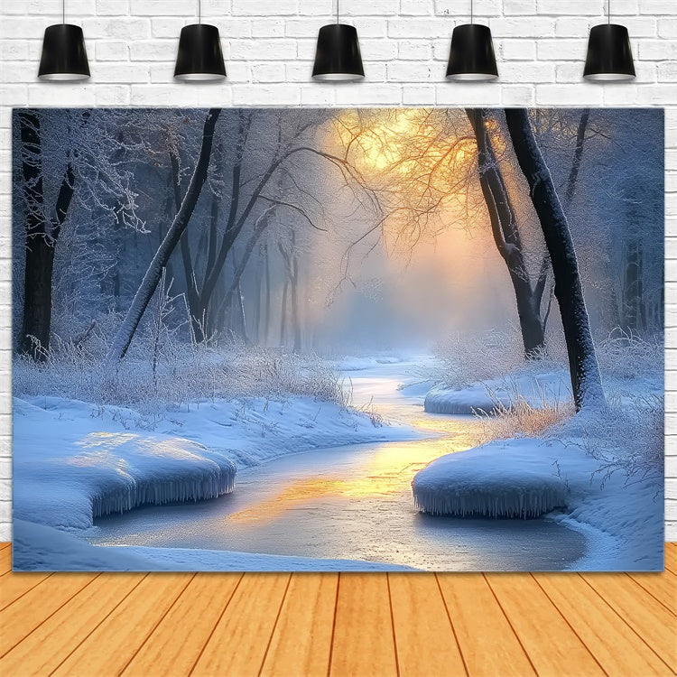 Toile de fond Hiver Merveille Forêt Gelée Ruisseau BRP57-391