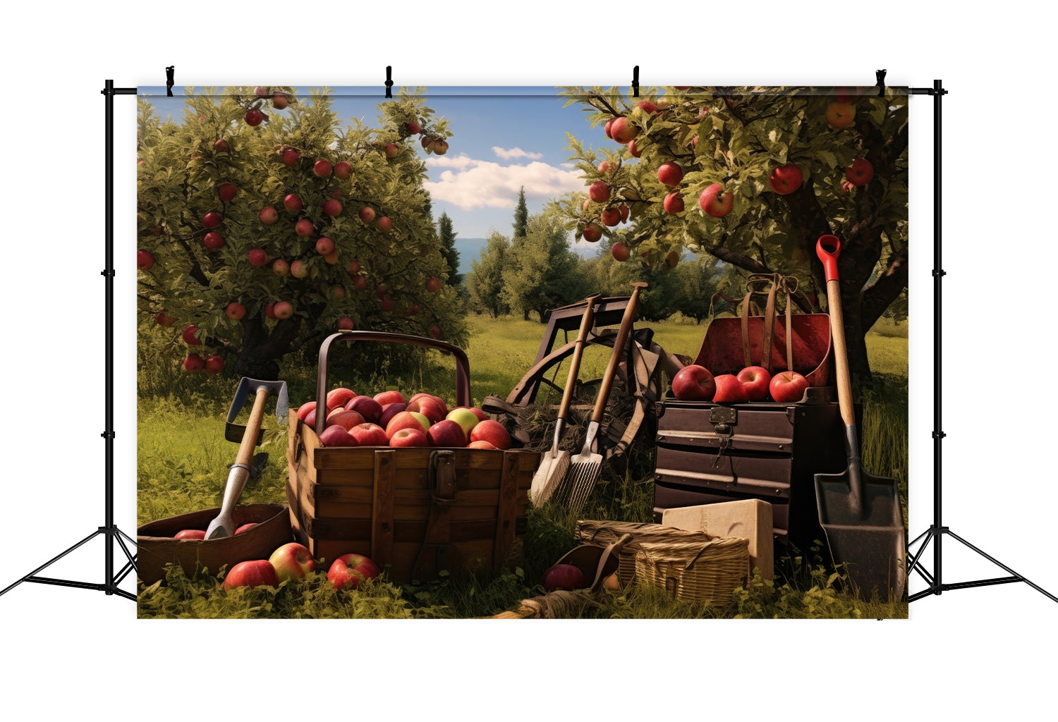Toile de fond de récolte de pommes d'automne pour la photographie BRP7-104