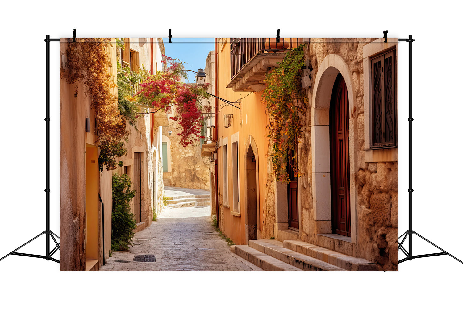 Toile de fond de rue rétro d'automne pour la photographie BRP7-109