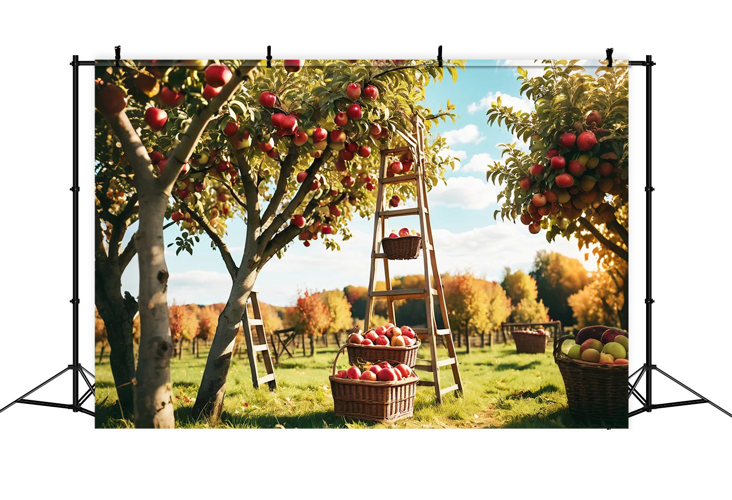 Toile de fond de verger de pommes rouges en forêt d'automne BRP7-111