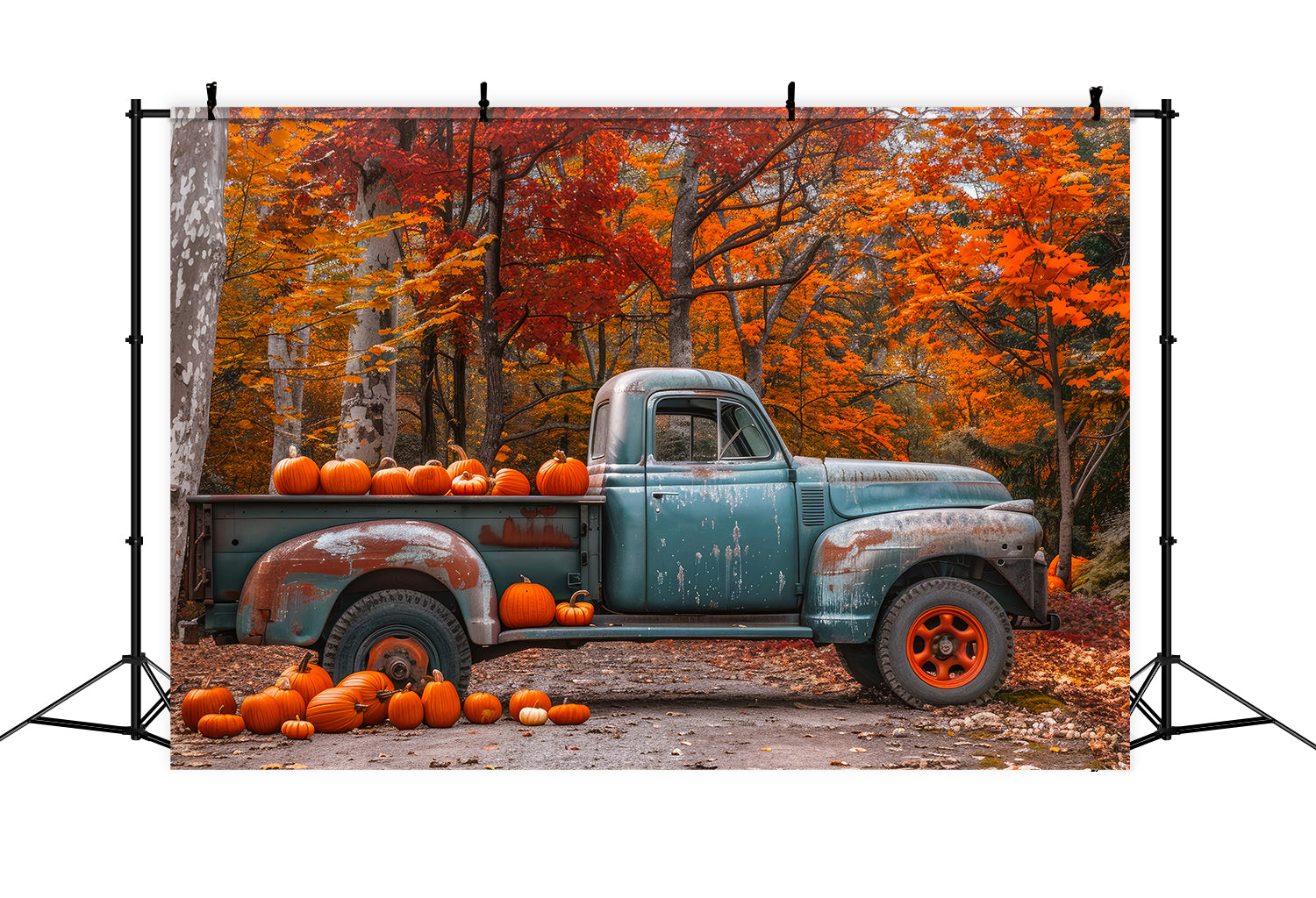 Toile de fond de camion avec érable et citrouilles d'automne BRP7-112
