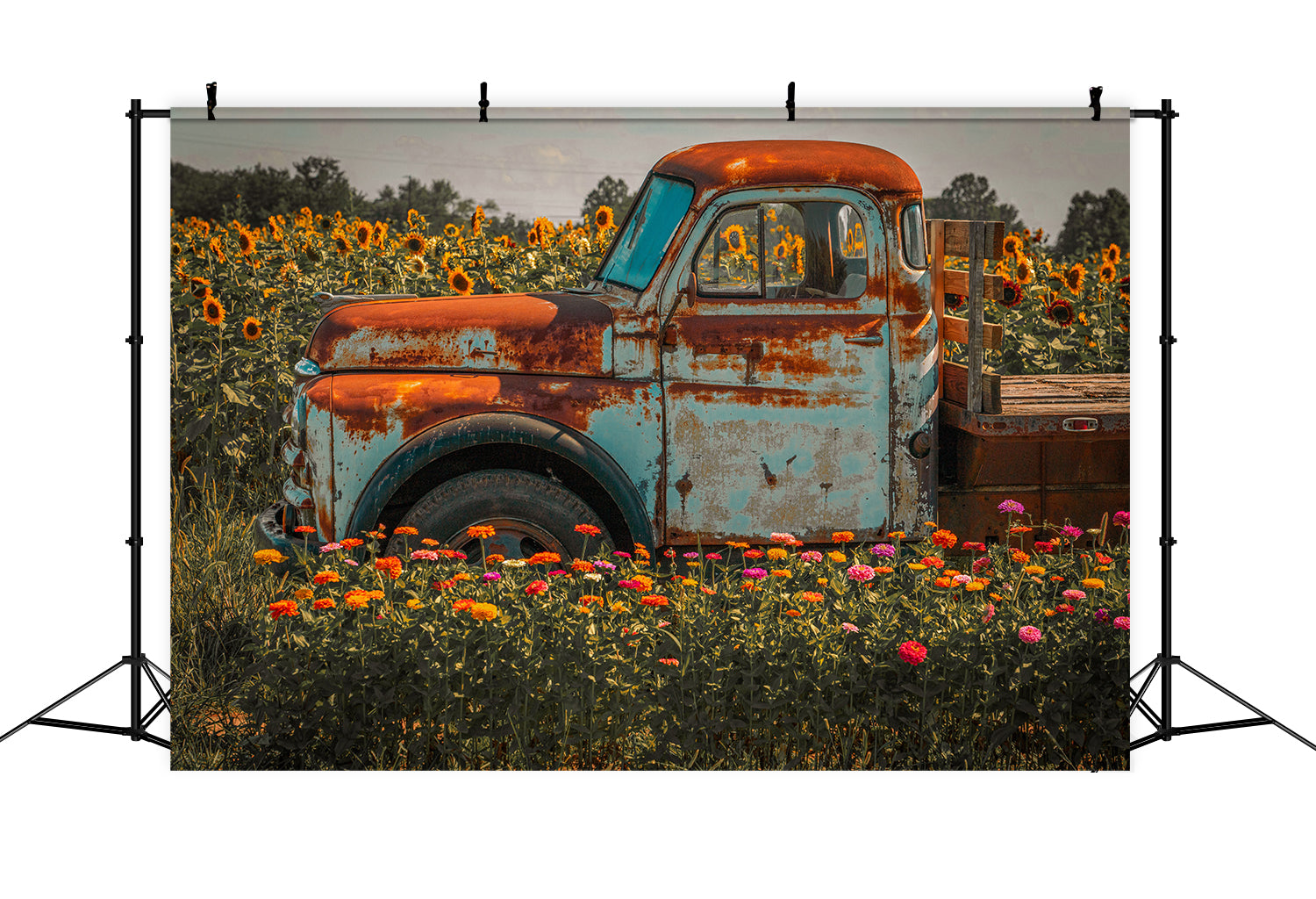 Toile de fond de ferme avec tournesols et camion en automne BRP7-115