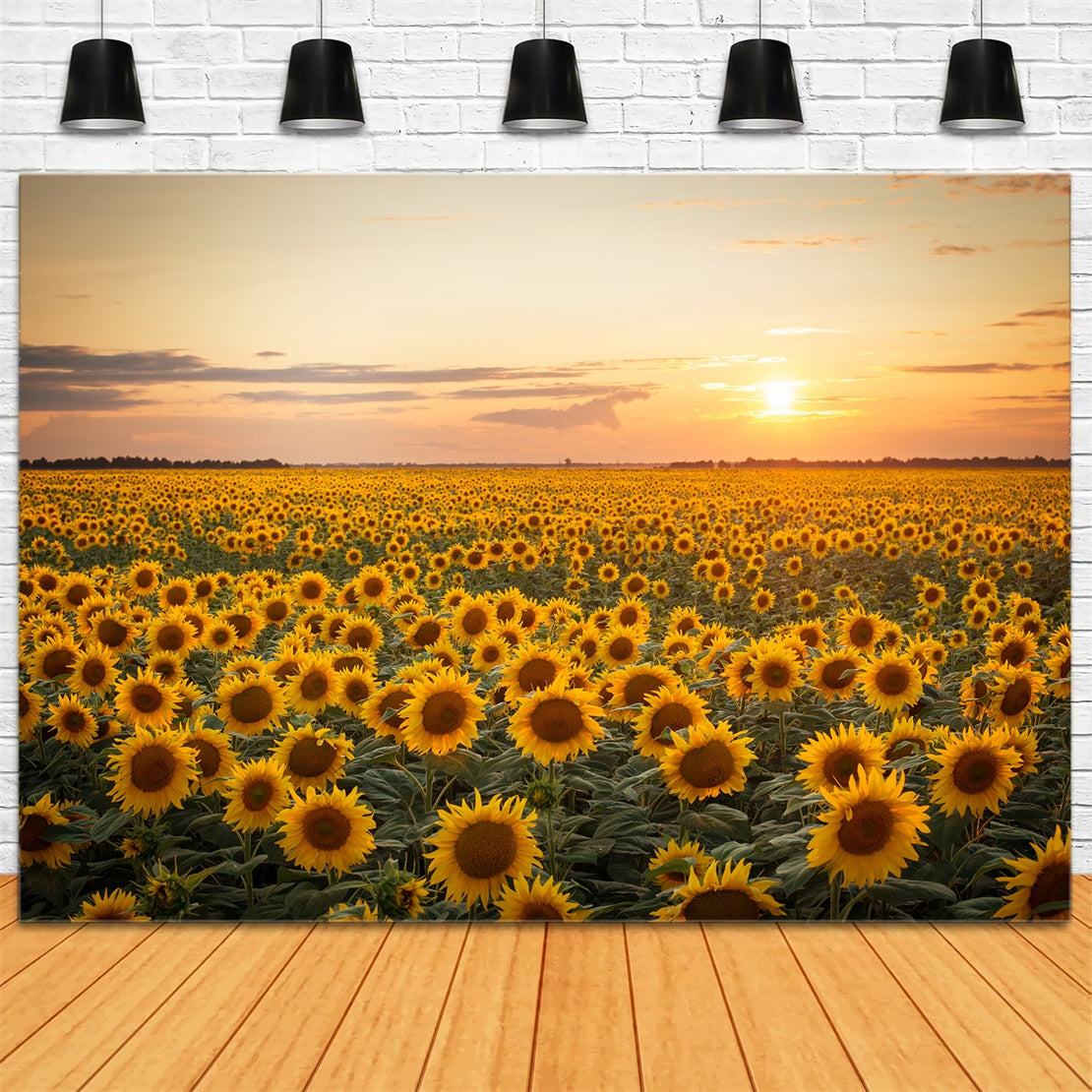 Toile de fond de coucher de soleil avec tournesols d'automne BRP7-118