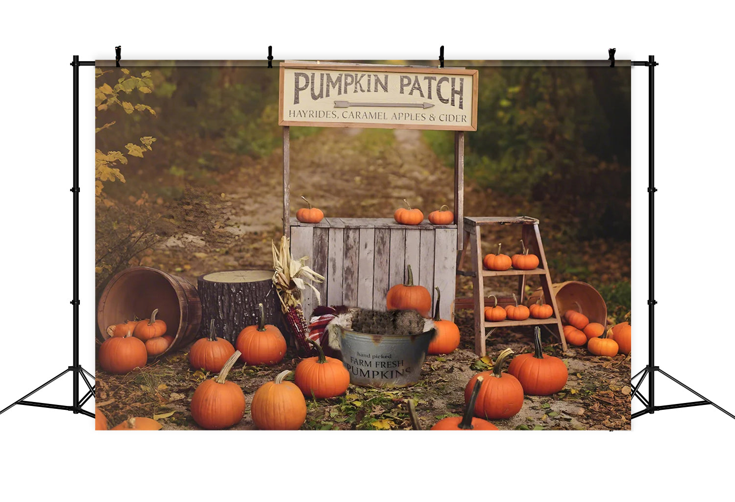 Toile de fond de stand de citrouilles en automne BRP7-120