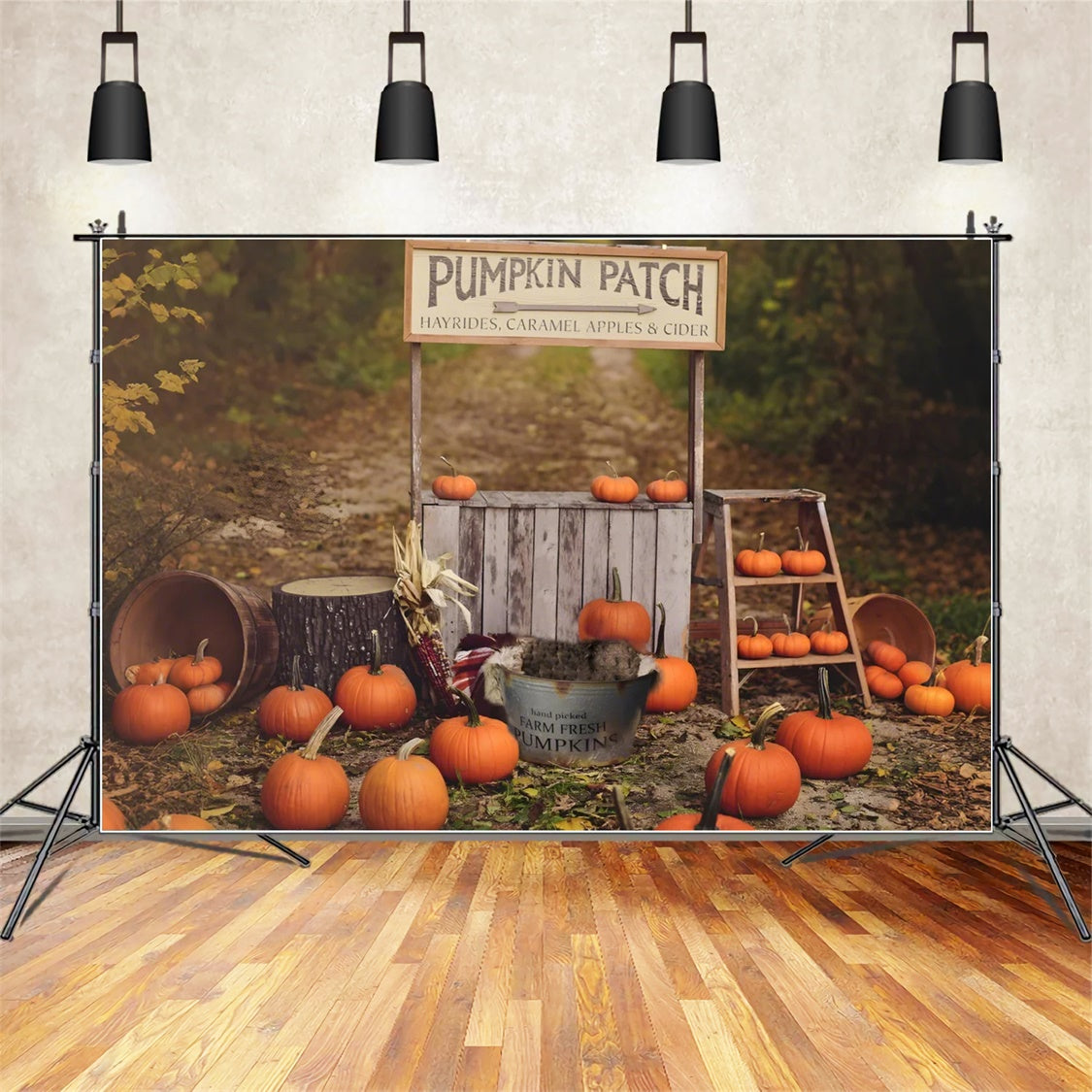 Toile de fond de stand de citrouilles en automne BRP7-120
