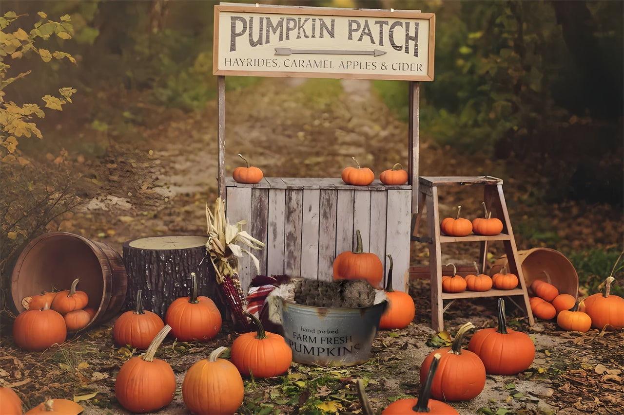 Toile de fond de stand de citrouilles en automne BRP7-120