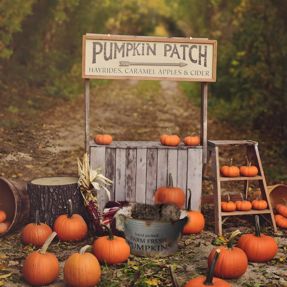 Toile de fond de stand de citrouilles en automne BRP7-120