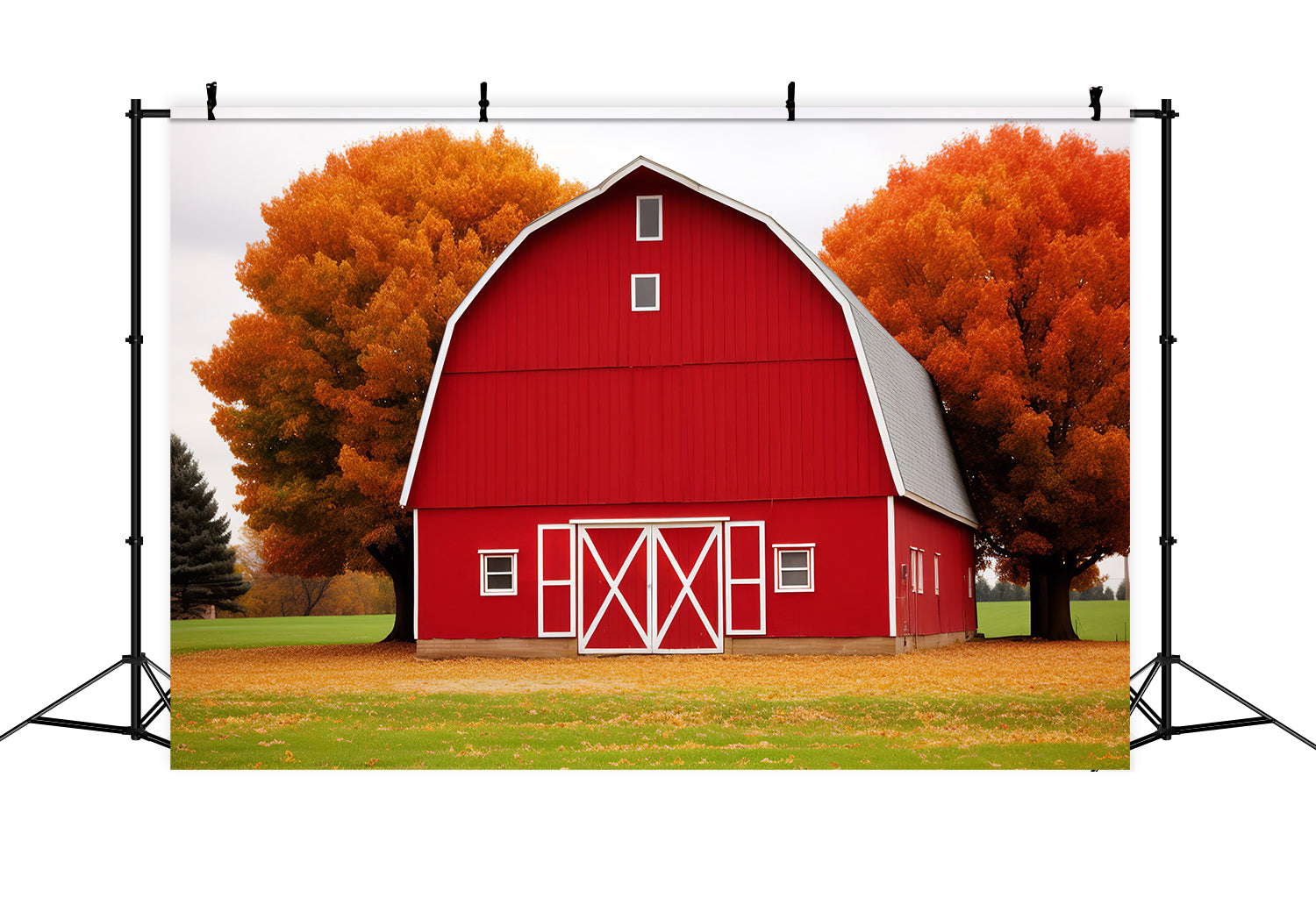 Toile de fond de maison rouge avec feuille d'érable et prairie en automne BRP7-128