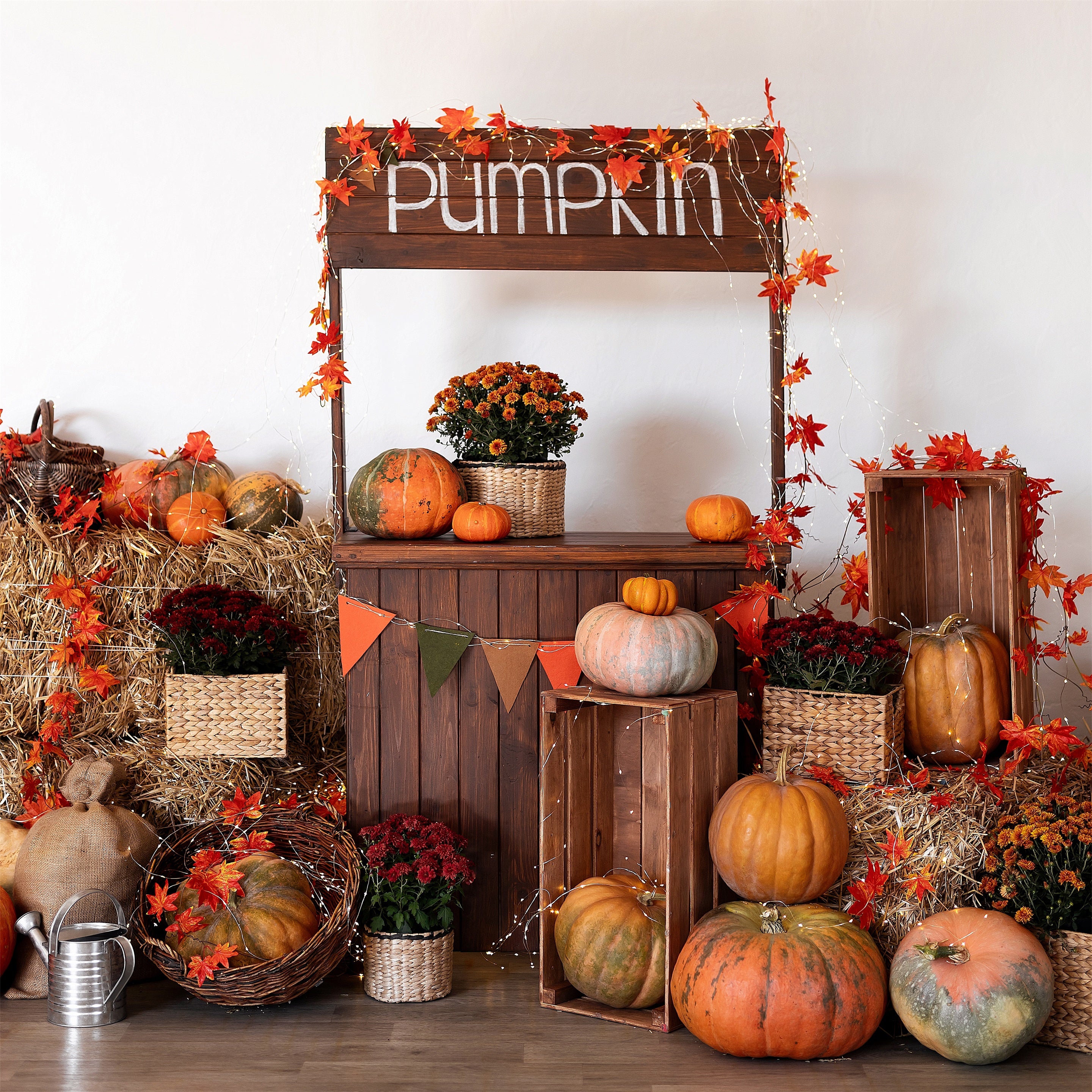 Toile de fond de stand de citrouilles avec feuilles d'érable d'automne BRP7-133