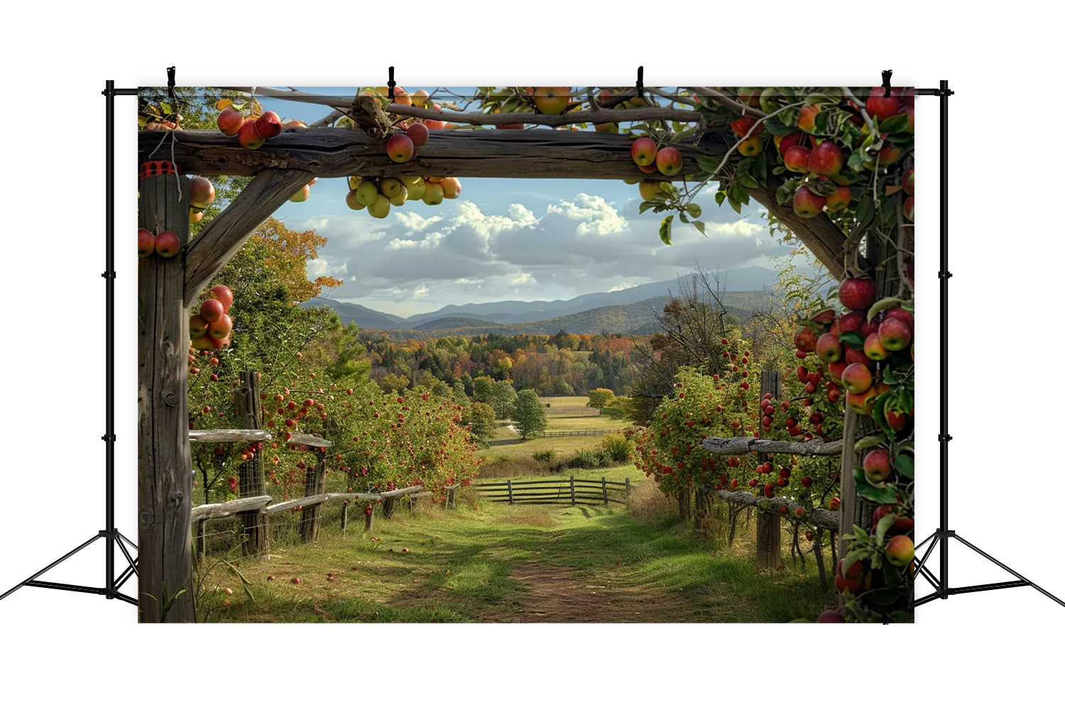 Toile de fond de ferme de pommes d'automne pour la photographie BRP7-143