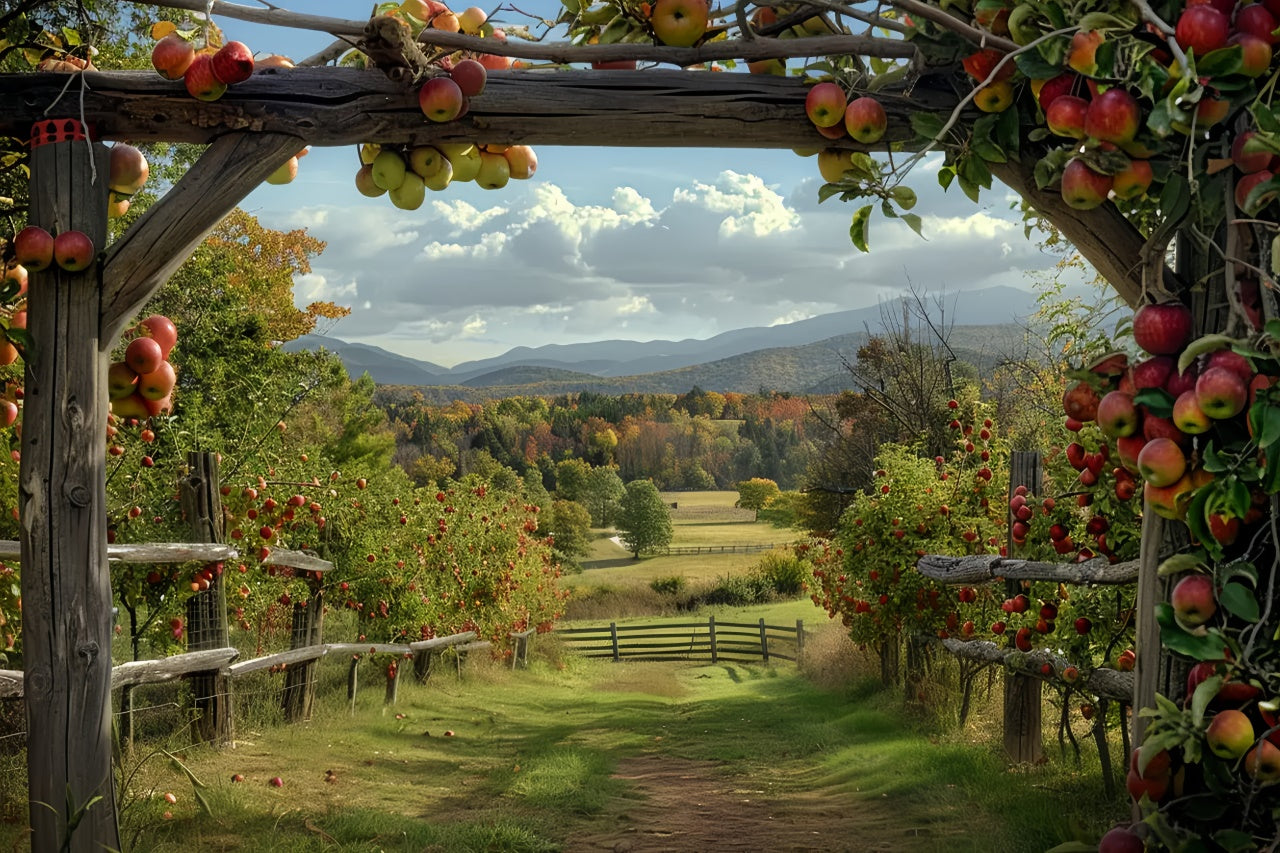 Toile de fond de ferme de pommes d'automne pour la photographie BRP7-143