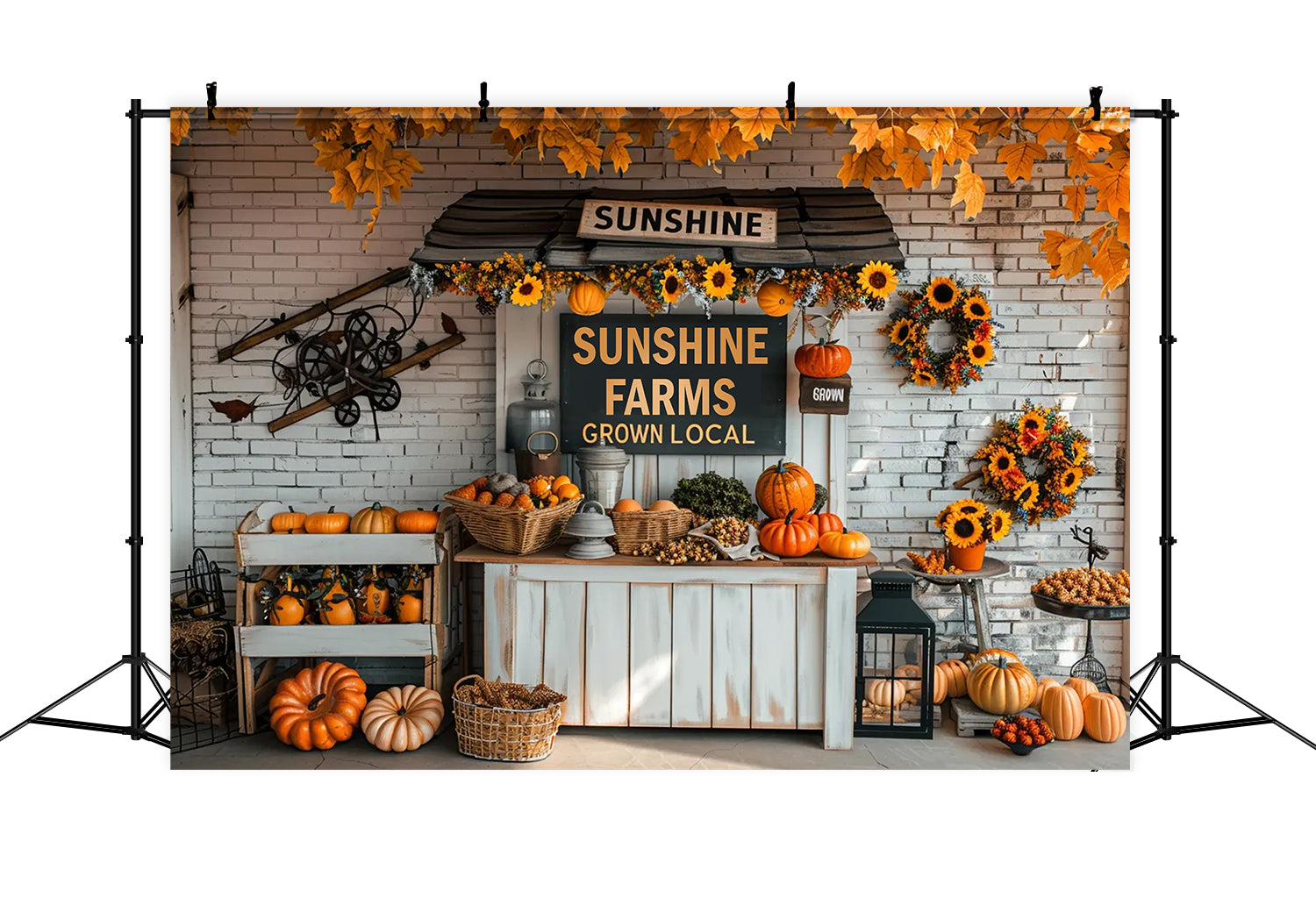 Toile de fond de marché avec petites citrouilles en automne BRP7-158