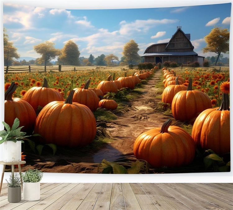 Toile de fond de ferme de citrouilles en automne pour la photographie BRP7-70