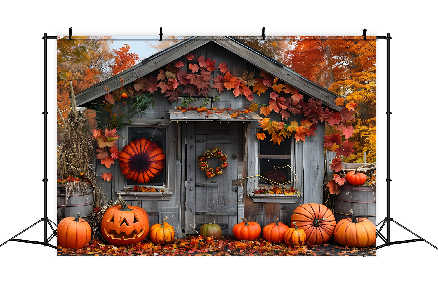 Toile de fond de maison en bois dans la forêt avec citrouilles d'automne BRP7-88