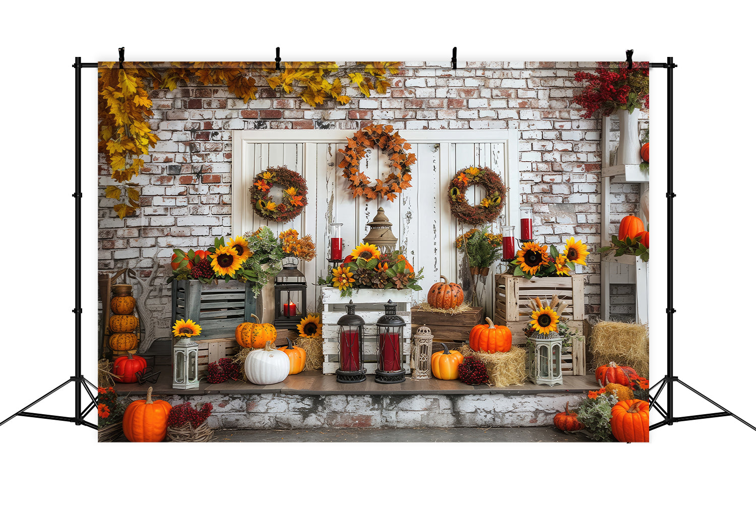 Toile de fond de porte blanche avec citrouilles d'automne BRP7-92