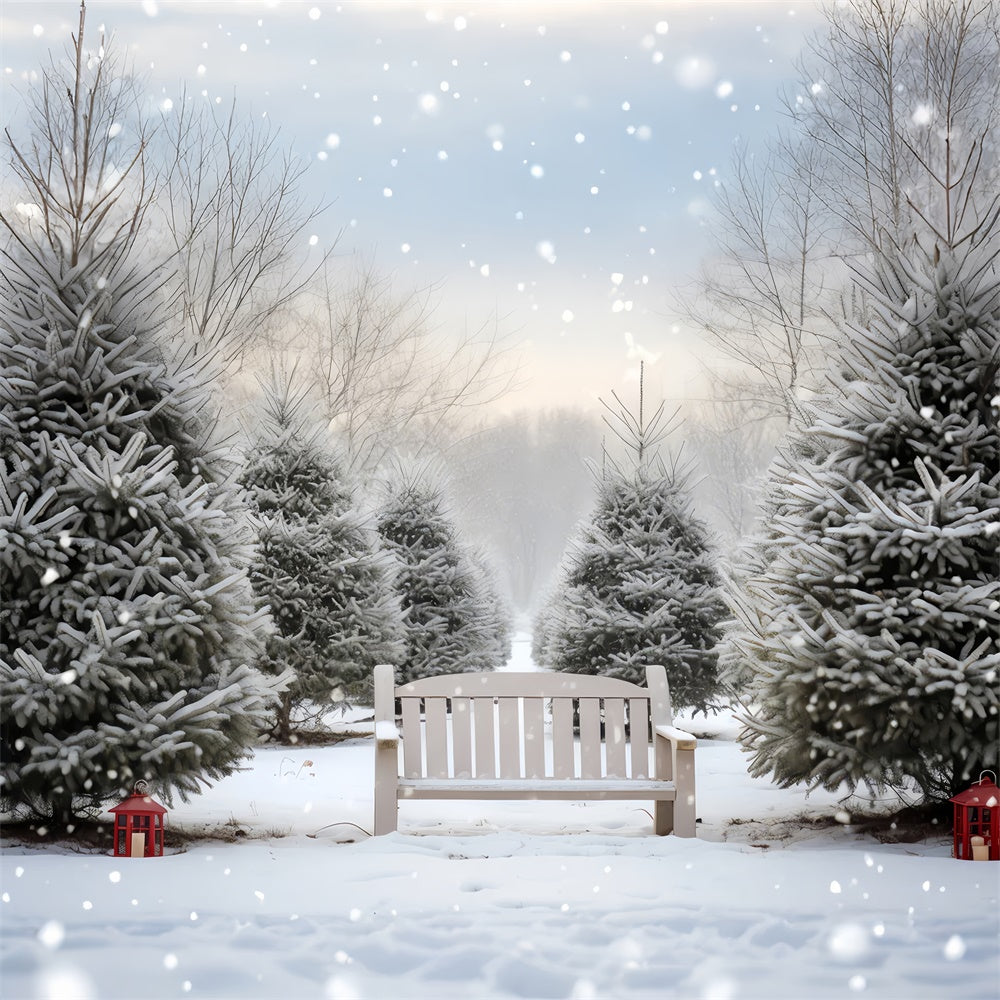 Toile de Fond Banc sous les Sapins Enneigés de Noël BRP8-141