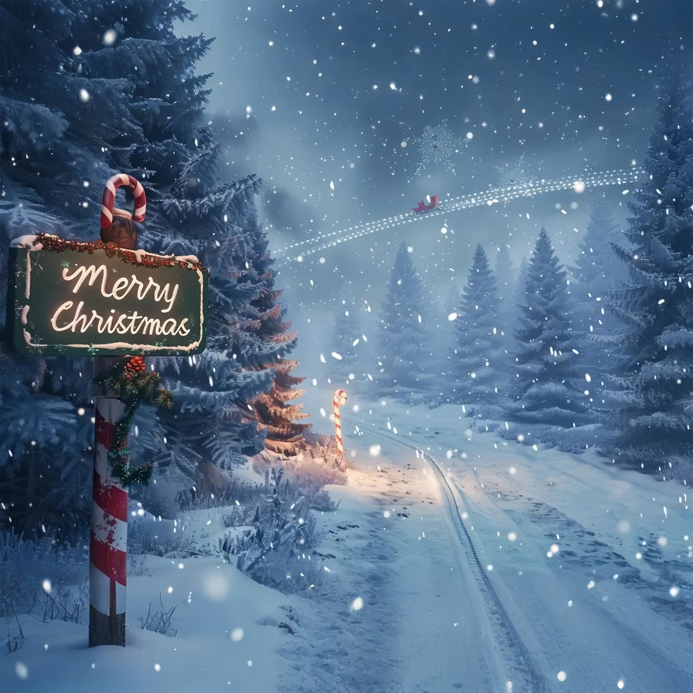 Toile de fond de Sentier Enchanté de Forêt de Noël BRP8-15