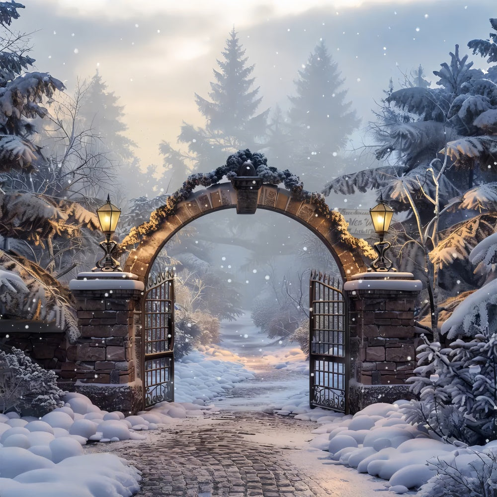 Toile de Fond Porte de la Forêt Hivernale de Noël BRP8-60
