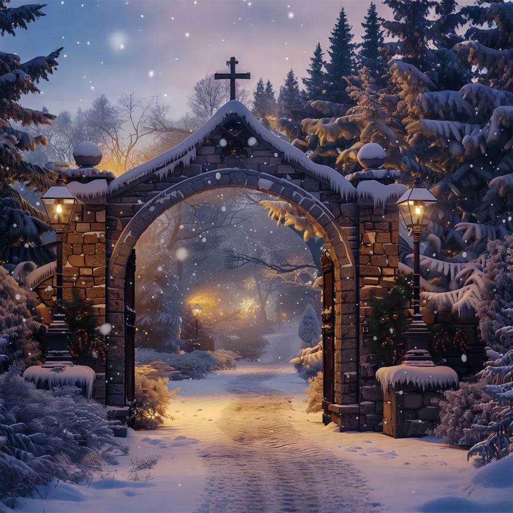 Toile de Fond Sentier Serein sous Arche Enneigée de Noël BRP8-61