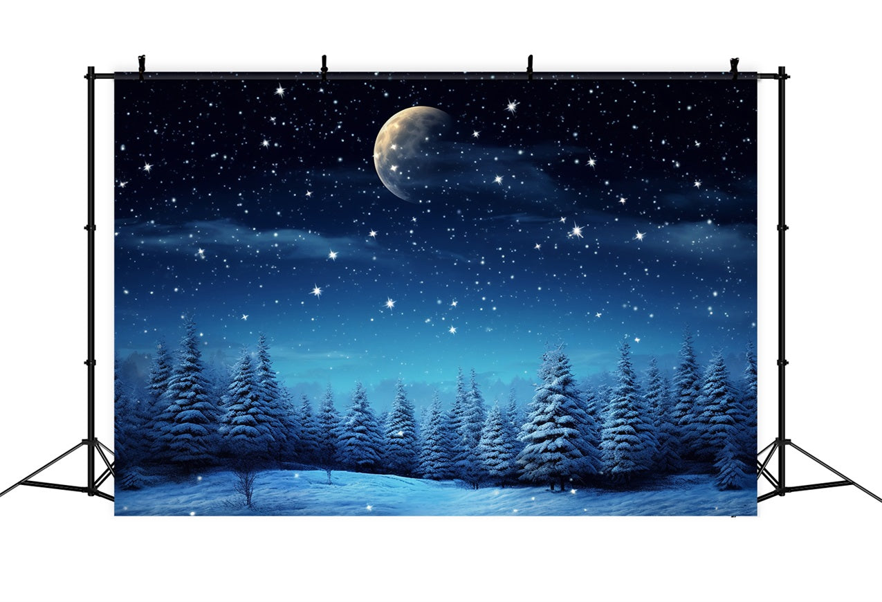 Toile de fond Nuit étoilée Merveille d'hiver Photographie BRP9-211