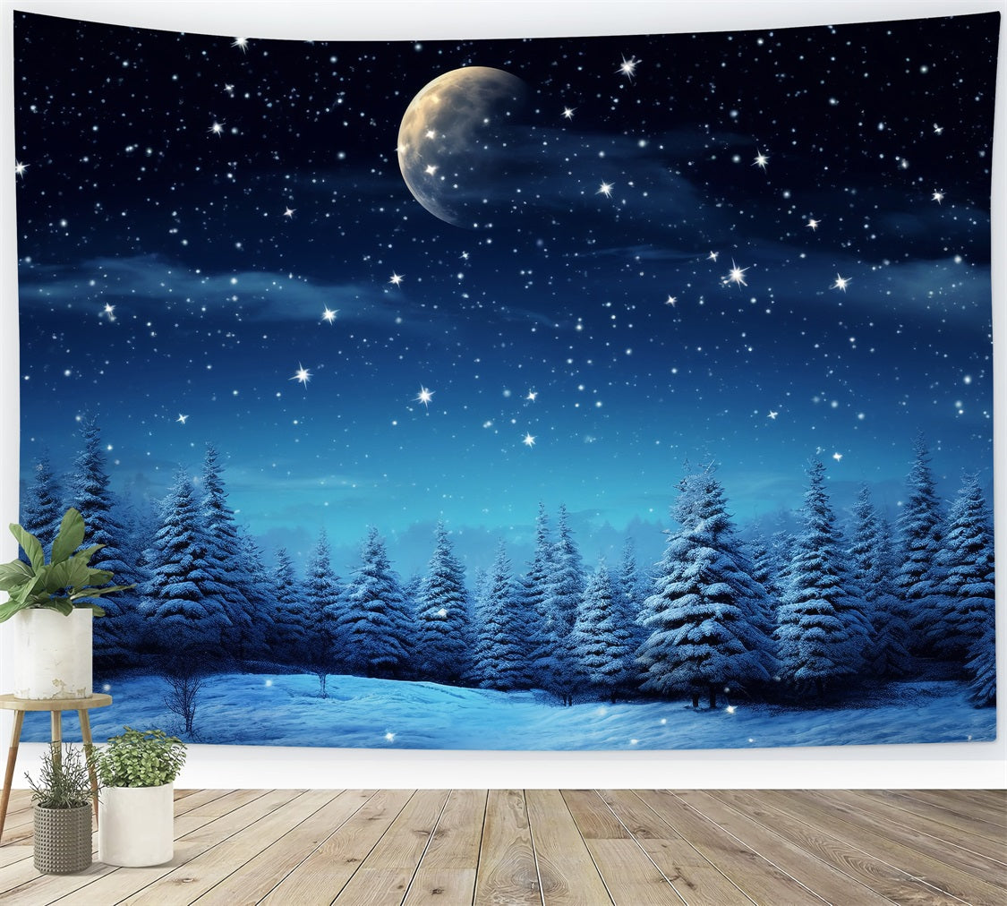 Toile de fond Nuit étoilée Merveille d'hiver Photographie BRP9-211