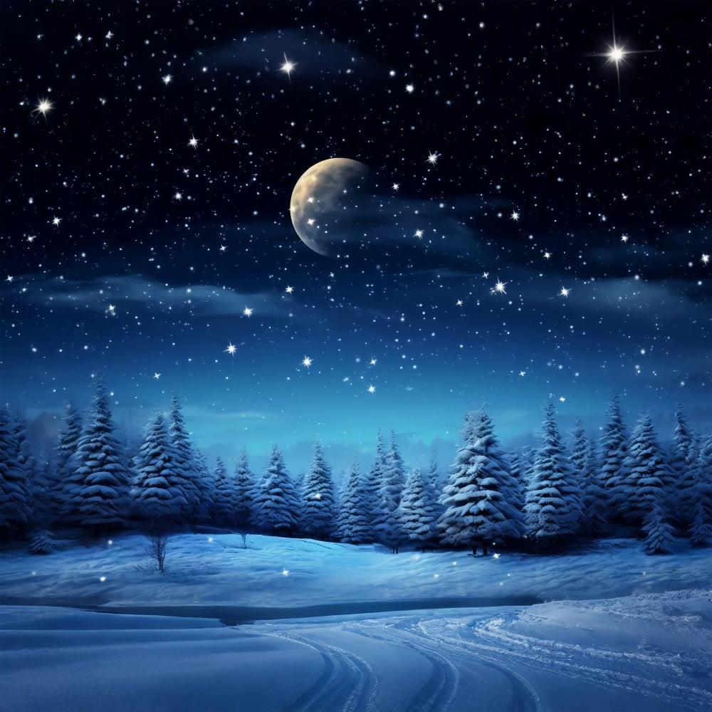 Toile de fond Nuit étoilée Merveille d'hiver Photographie BRP9-211