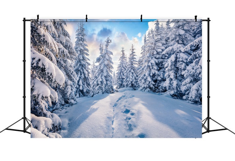 Toile de fond Forêt hivernale Ciel bleu clair Photographie BRP9-228