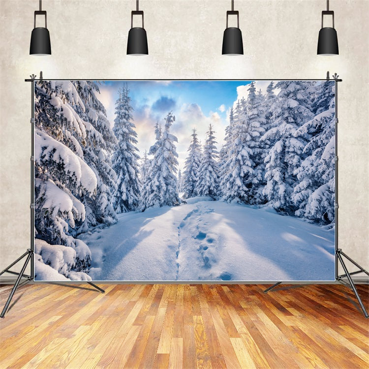 Toile de fond Forêt hivernale Ciel bleu clair Photographie BRP9-228