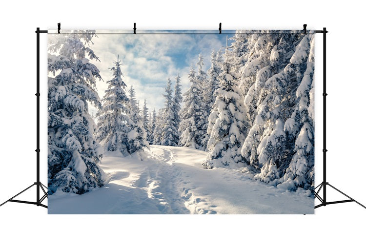 Toile de fond Arbres givrés Hiver Ciel bleu BRP9-229