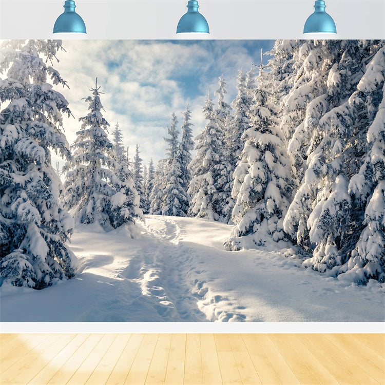 Toile de fond Arbres givrés Hiver Ciel bleu BRP9-229