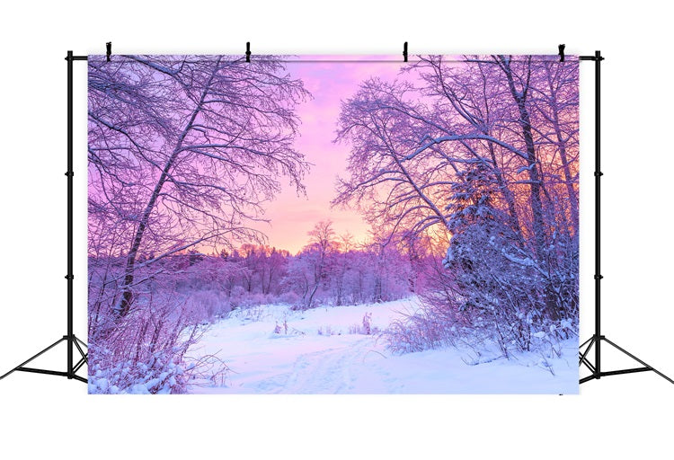 Toile de fond Lever de soleil pastel Forêt enneigée Hiver BRP9-283