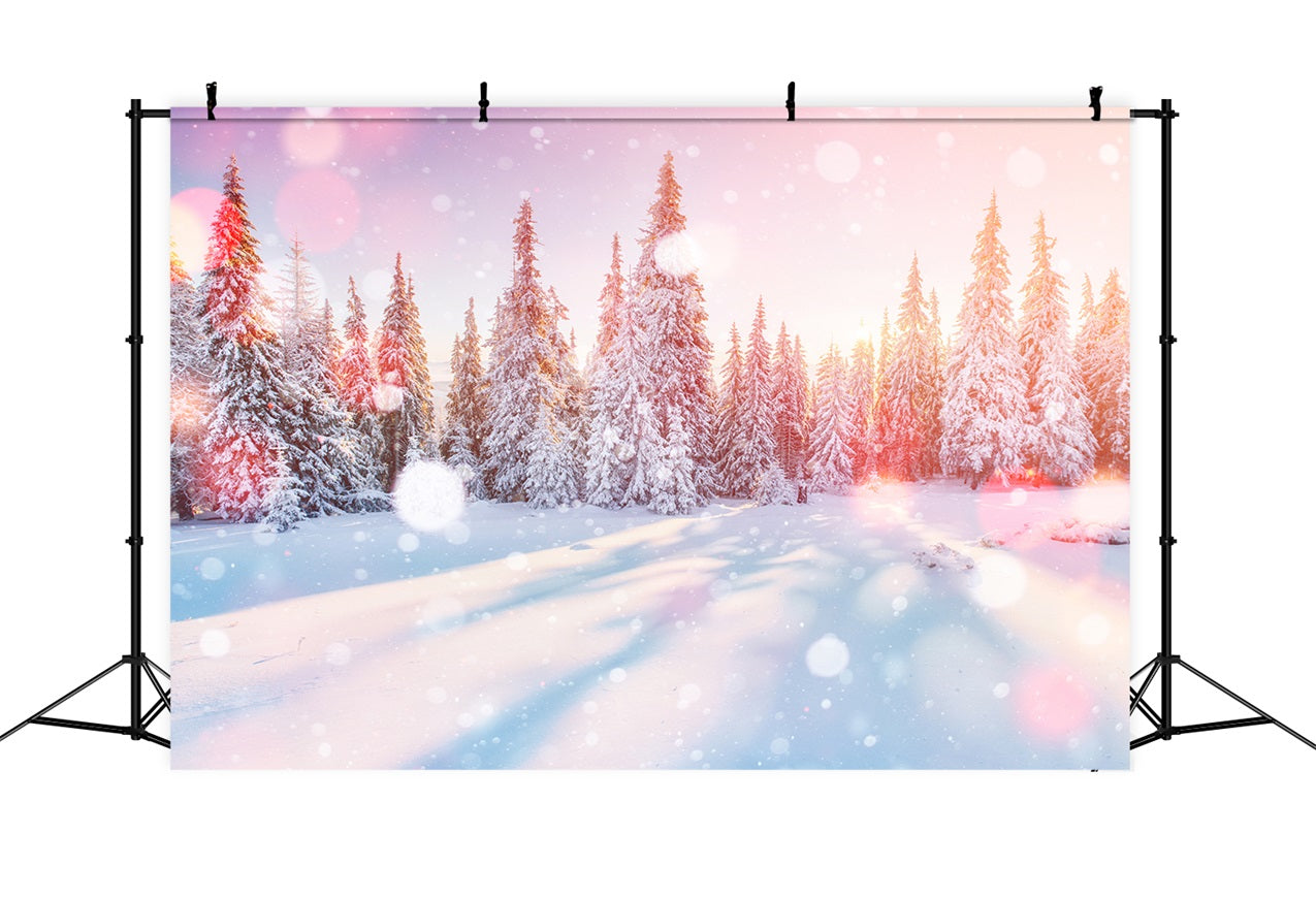 Toile de fond Lumière du matin Forêt de pins enneigée Hiver BRP9-299