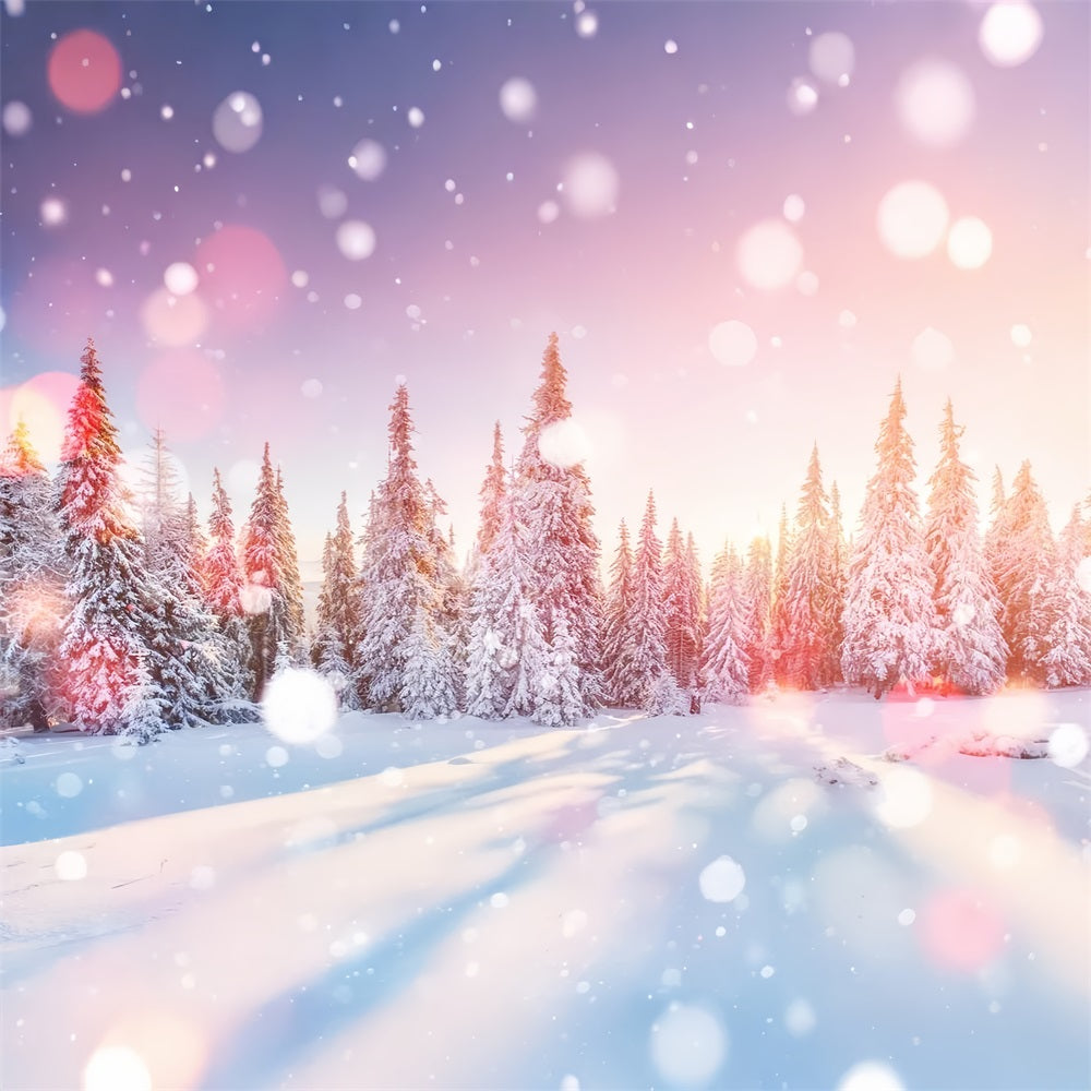 Toile de fond Lumière du matin Forêt de pins enneigée Hiver BRP9-299