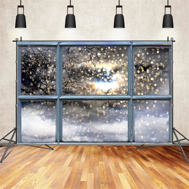 Toile de fond Branches scintillantes Vue à travers fenêtre Hiver BRP9-301