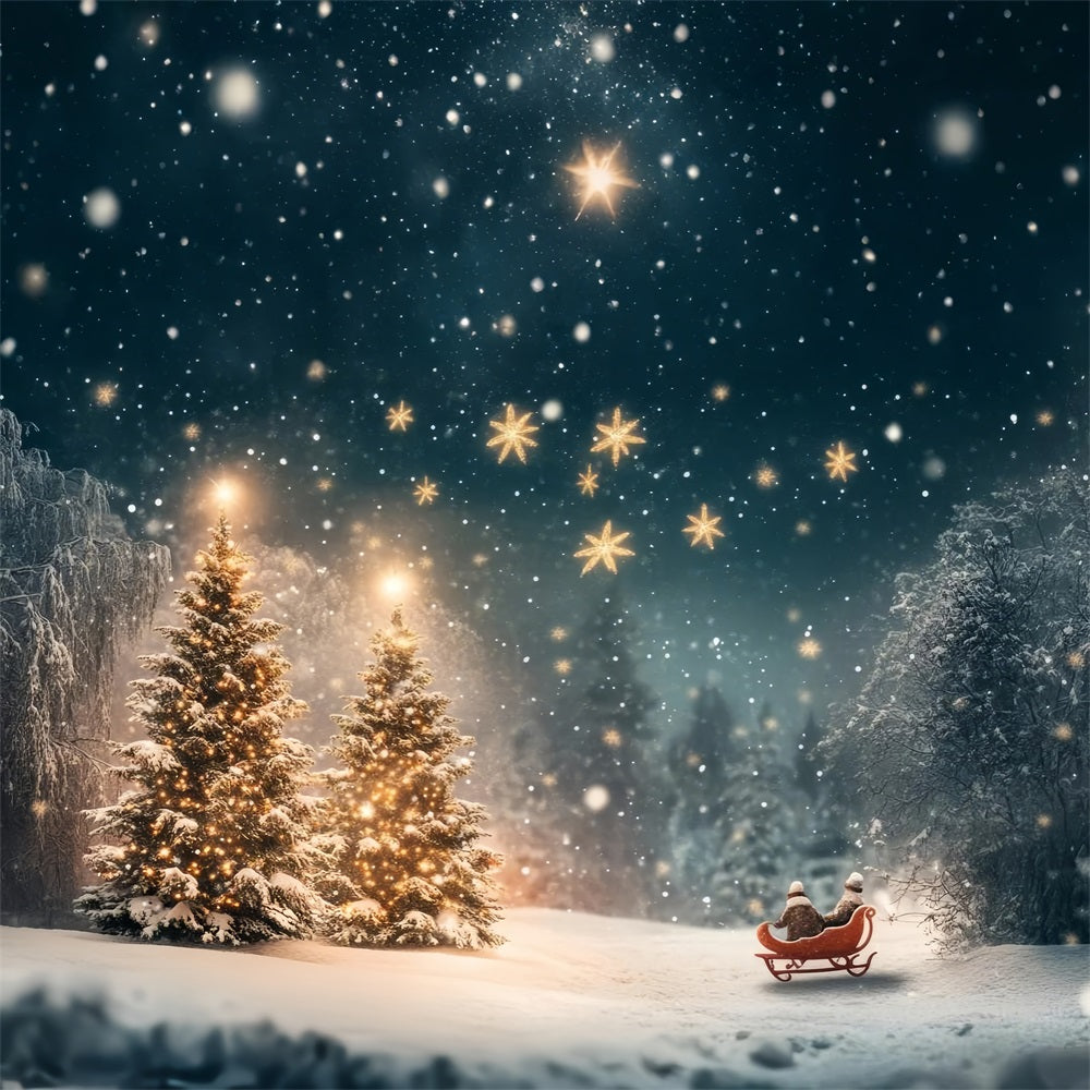 Toile de fond Arbres illuminés Forêt nocturne enneigée Hiver BRP9-306