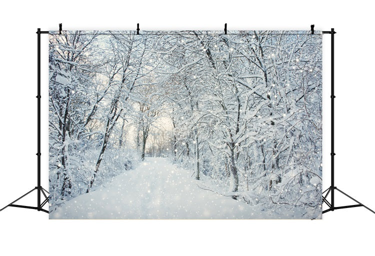 Toile de fond Magique Forêt hivernale Flocons de neige BRP9-319