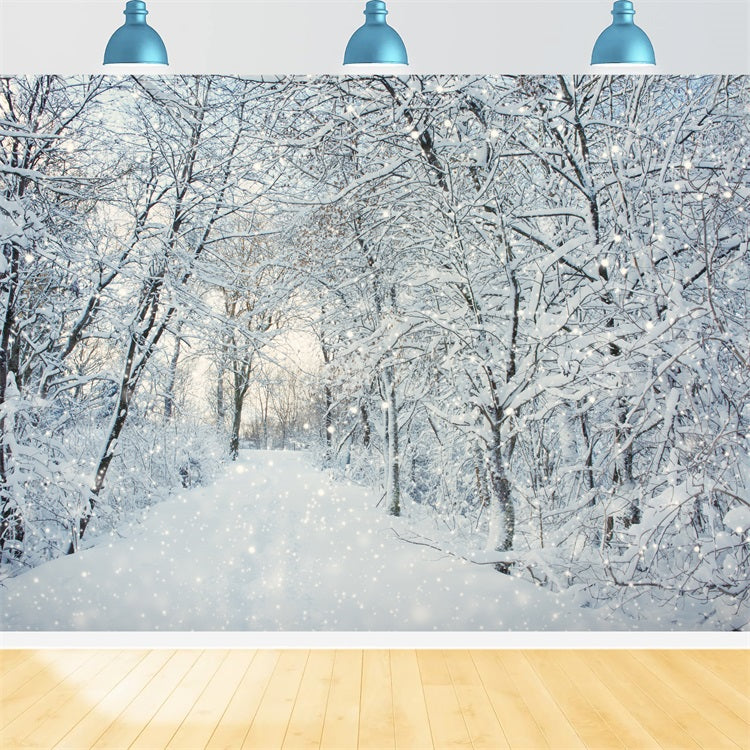 Toile de fond Magique Forêt hivernale Flocons de neige BRP9-319