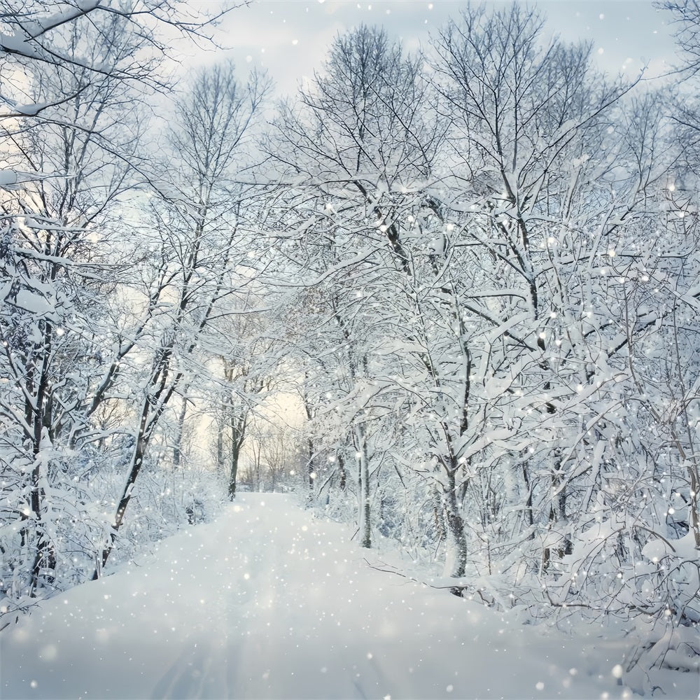 Toile de fond Magique Forêt hivernale Flocons de neige BRP9-319
