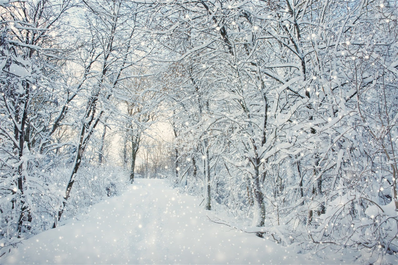 Toile de fond Magique Forêt hivernale Flocons de neige BRP9-319
