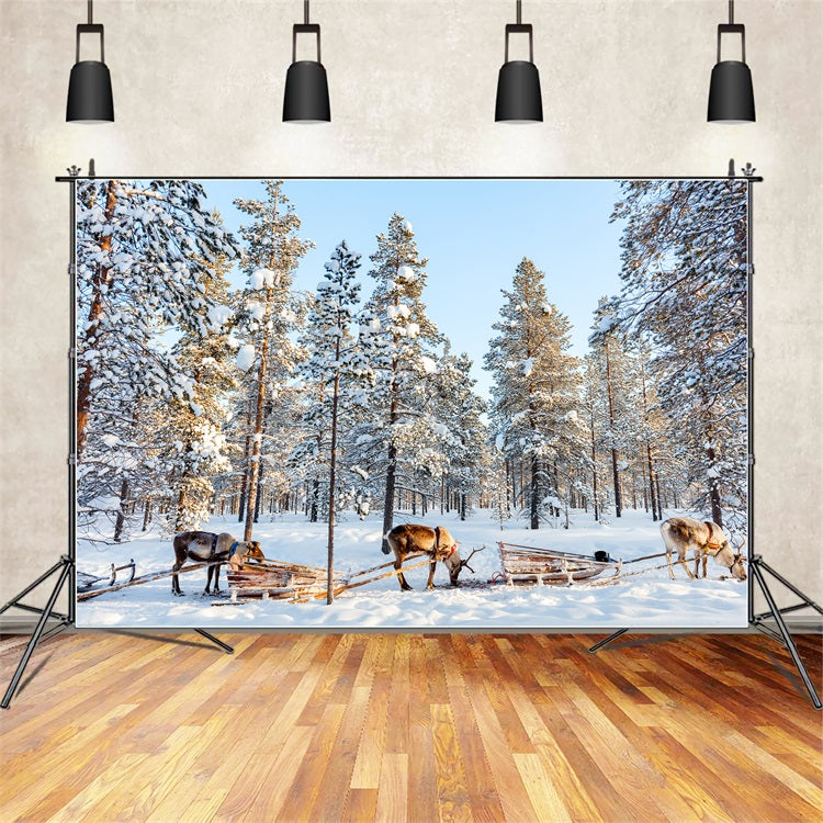 Toile de fond Traîneau de rennes à travers pins hivernaux BRP9-326