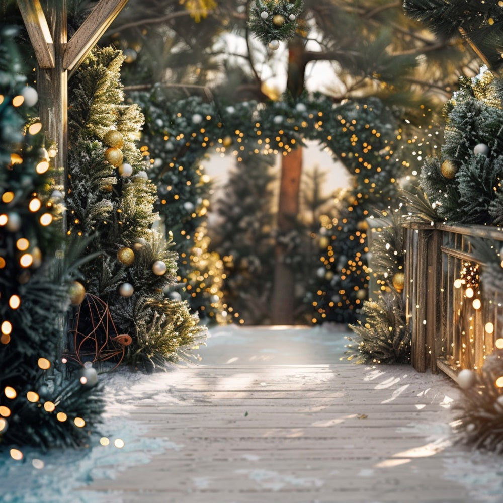 Toile de fond Allée hivernale décorée Lumières de Noël BRP9-334