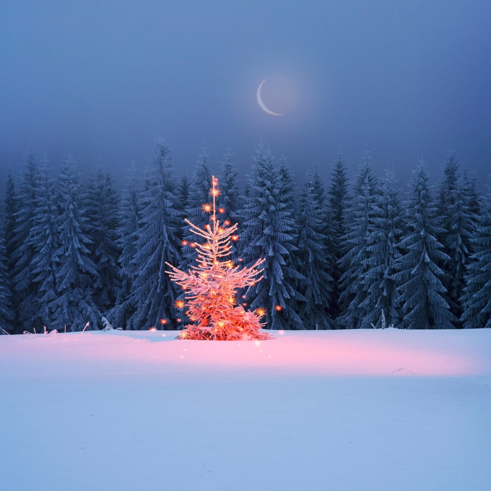 Toile de fond Sapin de Noël lumineux Nuit hivernale scintillante BRP9-365